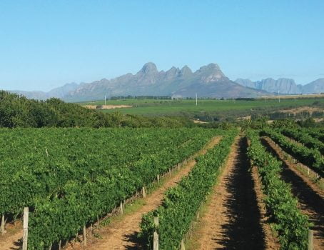 Cape Winelands Tour